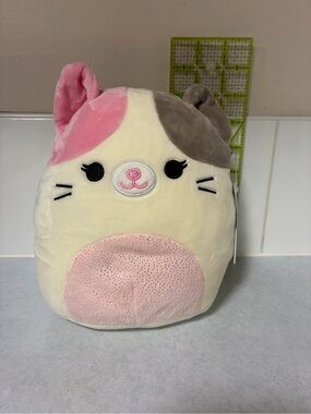 Squishmallow Cat Karina in Cream, Pink & Gray 7”